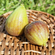Goutte D’Or