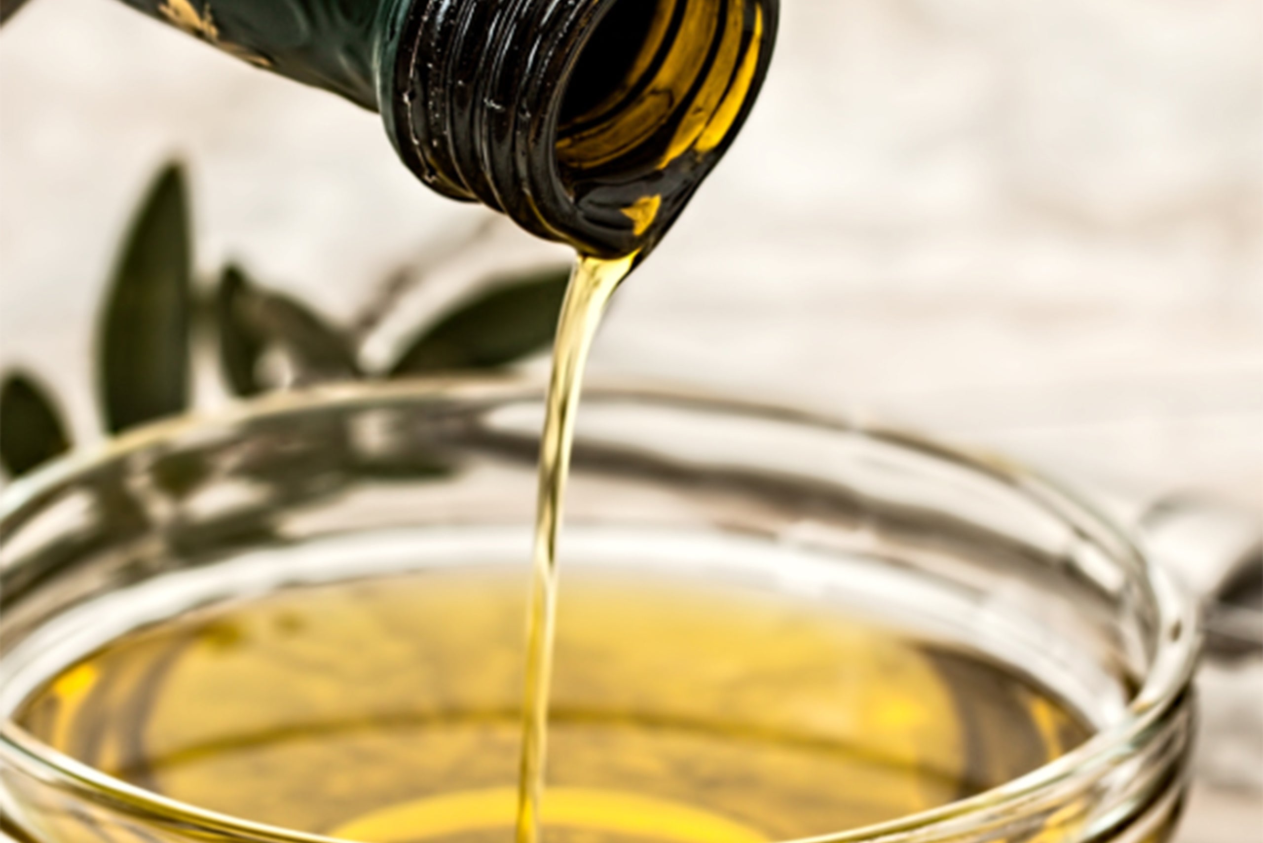 Il progetto ‘Filiera olivicola Terre dell’Olio’ e la valorizzazione della coltura olivicola umbra umbria, 2023