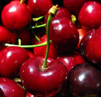 Durone Di Vignola