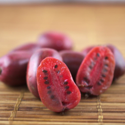 Actinidia Arguta Kiwi Ken’s Red