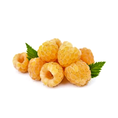 Lampone Giallo Fall Gold